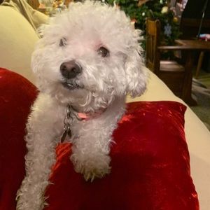 Meet your Posher, Helen